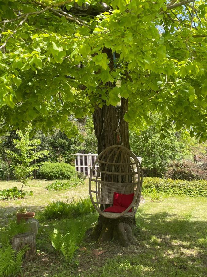 Domaine La Belle Histoire - Gite Cote Parc Besset Exteriör bild